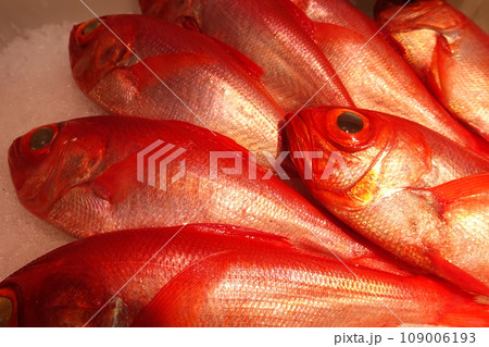 魚屋で氷の上に並べられた天然金目鯛 魚屋で氷の上に並べられた天然金目鯛 109006193