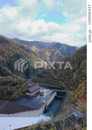 徳山ダムと紅葉 109006447