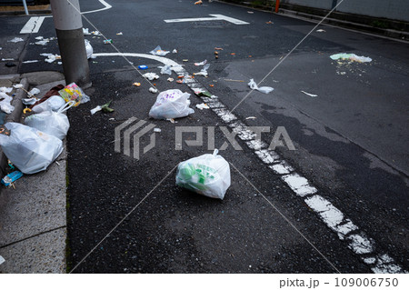 路上にゴミが散乱する街角 路上にゴミが散乱する街角 109006750