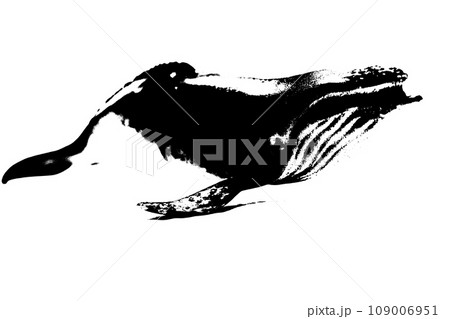 black silhouette of humpback whale isolated on white background, biggest mammal sea creature 109006951