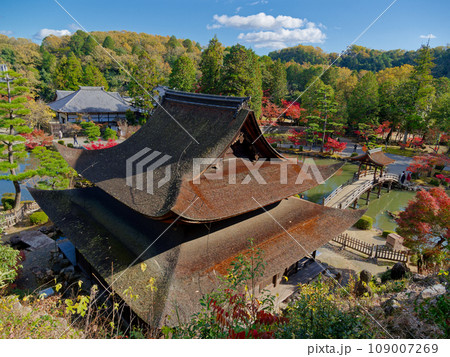 臨済宗南禅寺派永保寺の紅葉 109007269
