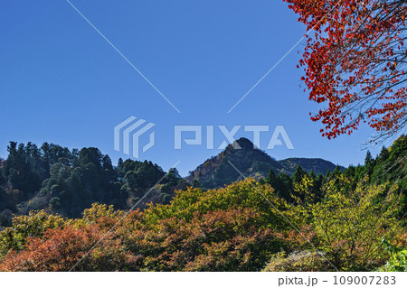 東京都　御岳山　御岳山山頂を望む　紅葉の登山道 109007283