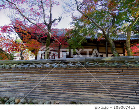 虎渓山永保寺僧堂の紅葉 虎渓山永保寺僧堂の紅葉 109007415