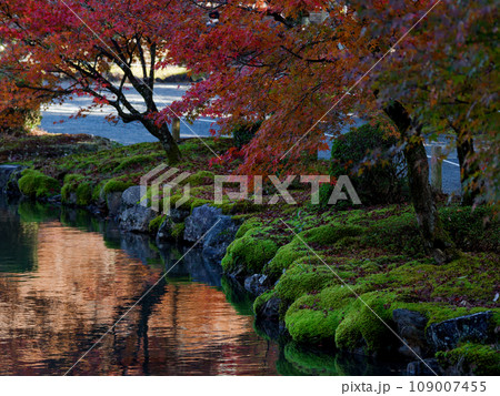 臨済宗南禅寺派永保寺庭園の紅葉 109007455