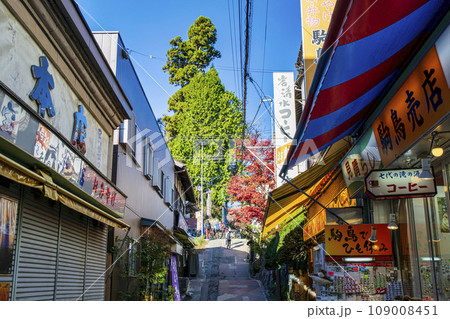 東京都　御岳山・武藏御嶽神社　鳥居横の商店街 109008451