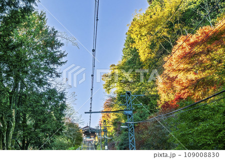 東京都 御岳山ケーブルカー 御岳山駅付近の紅葉 東京都 御岳山ケーブルカー 御岳山駅付近の紅葉 109008830