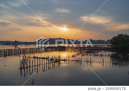 群馬　多々良沼の夕景 109009178