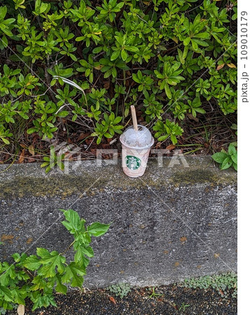 スタバの忘れ物 スタバの忘れ物 109010179