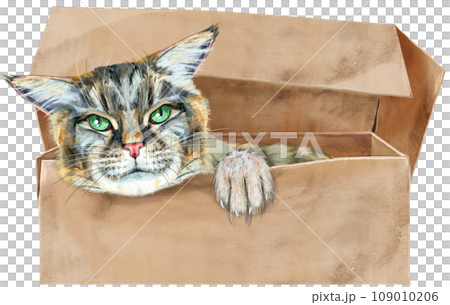 Portrait of a funny cat looking out of the box. Portrait of a funny cat looking out of the box. 109010206