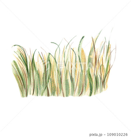 Field of wheat landscape watercolor illustration isolated on white background. Hand drawn grass. View of rye hand painted. Element for design package bread, trade, grocery store, bakery 109010226