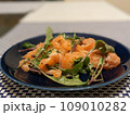 新鮮なサラダ 109010282