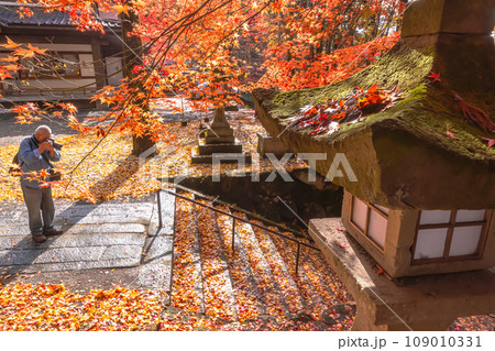 231107日枝神社s117 109010331