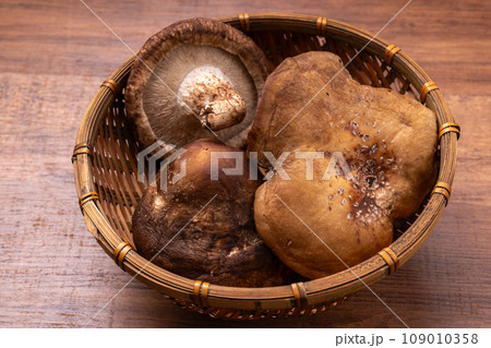 椎茸（規格外） 109010358