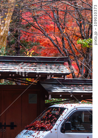231107日枝神社g026 231107日枝神社g026 109010373
