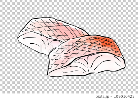 Simple hand-drawn illustration of golden sea bream 109010425
