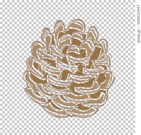 Illustration of a pine cone with a soft line drawing touch Illustration of a pine cone with a soft line drawing touch 109010447