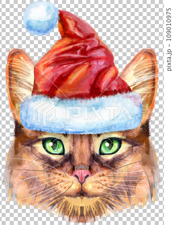 Lovely closeup portrait of Somali cat in Santa hat. Hand drawn watercolor painting on white background Lovely closeup portrait of Somali cat in Santa hat. Hand drawn watercolor painting on white background 109010975