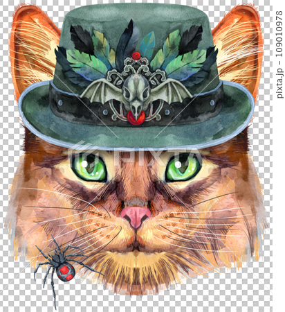 Lovely closeup portrait of Somali cat in green halloween hat with with raven skull and feathers. Hand drawn watercolor painting on white background Lovely closeup portrait of Somali cat in green halloween hat with with raven skull and feathers. Hand drawn watercolor painting on white background 109010978