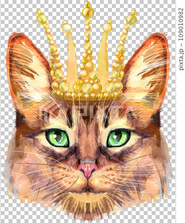 Lovely closeup portrait in pastel colors of Somali cat in golden crown. Hand drawn watercolor painting on white background Lovely closeup portrait in pastel colors of Somali cat in golden crown. Hand drawn watercolor painting on white background 109010982