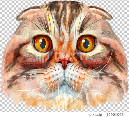 Lovely closeup portrait in pastel colors of Highland fold cat breed. Hand drawn water colour painting on white background 109010984