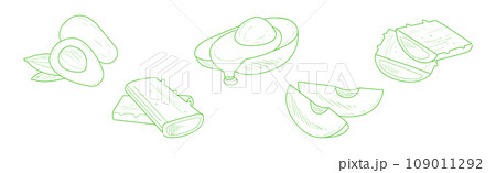 Hand Drawn Avocado and Aloe as Healthy Natural Product Vector Set 109011292