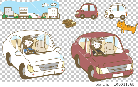 自動車を運転する女性 自動車を運転する女性 109011369