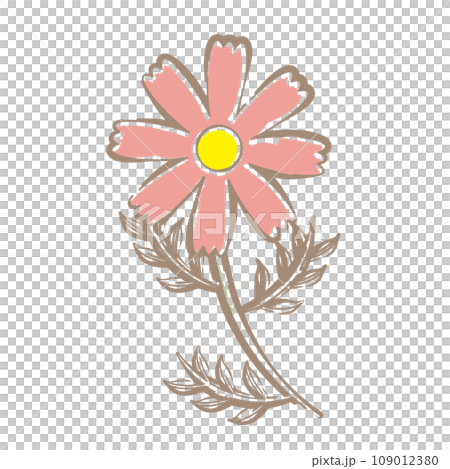 Pink cosmos flowers, soft line drawing touch Pink cosmos flowers, soft line drawing touch 109012380