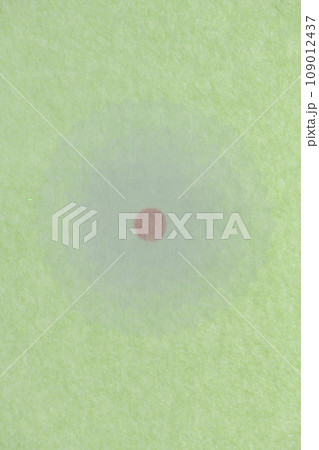 和紙による花イメージの背景素材 和紙による花イメージの背景素材 109012437