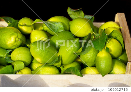 Local market. Boxes with tangerines. Fresh mandarin oranges or tangerines fruit with leaves in boxes at the open air local food market. Wholesale depot of exotic fruits. Local market. Boxes with tangerines. Fresh mandarin oranges or tangerines fruit with leaves in boxes at the open air local food market. Wholesale depot of exotic fruits. 109012716
