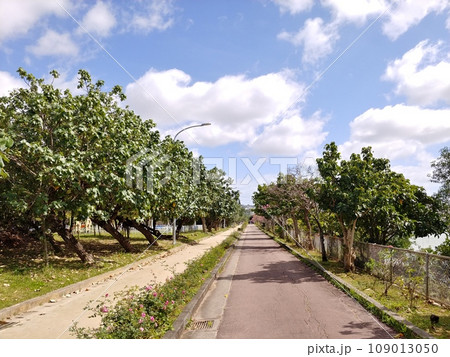 沖縄　那覇市漫湖公園19 109013050