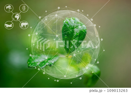 Ecosystem and preserve nature and sustainable 109013263