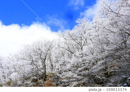 It is a winter mountain landscape with beautiful snowy scenery. 109013374