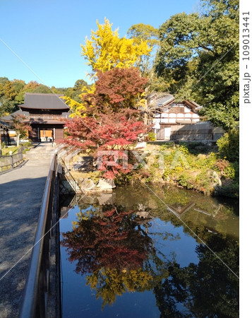 秋の乾坤院 109013441