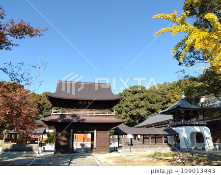 秋の乾坤院 109013443