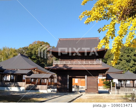 秋の乾坤院 秋の乾坤院 109013471