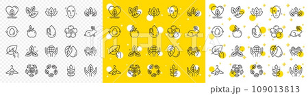 No alcohol free, synthetic fragrance. Organic cosmetics line icons. Slow fashion, sustainable textiles icons. Fair trade, eco organic cosmetics. Gluten free, animal testing. Vector 109013813