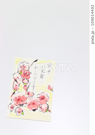 寒中見舞いはがき／手描き（シンプル・コピースペース・白背景） 109014492