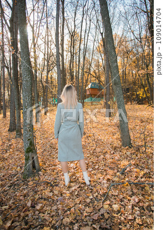 Back view blonde woman in elegant gray coat walks in the sunny autumn season park. Generation z and gen z youth concept. Back view blonde woman in elegant gray coat walks in the sunny autumn season park. Generation z and gen z youth concept. 109014704