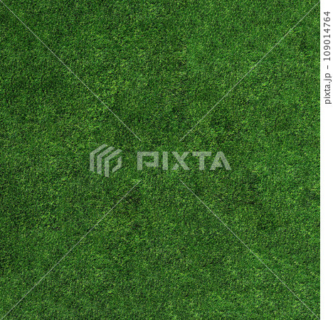 Close-up of neatly trimmed green grass top view 109014764