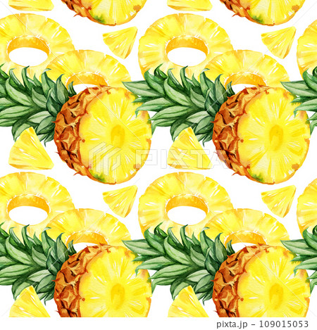 watercolor seamless pattern with pineapple, half and slices of ripe pineapple, sketch of tropical fruit, hand drawn illustration, food illustration isolated on white background watercolor seamless pattern with pineapple, half and slices of ripe pineapple, sketch of tropical fruit, hand drawn illustration, food illustration isolated on white background 109015053