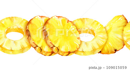 watercolor seamless border with pineapple, rings and slices of ripe pineapple, sketch of tropical fruit, hand drawn illustration, food illustration isolated on white background watercolor seamless border with pineapple, rings and slices of ripe pineapple, sketch of tropical fruit, hand drawn illustration, food illustration isolated on white background 109015059