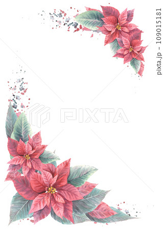 Watercolor painted card of red Poinsettia, Pulcherrima flowers and leaves with splashes. Traditional plant for Christmas or New Year, winter, holiday celebrate print design. Isolated, white background Watercolor painted card of red Poinsettia, Pulcherrima flowers and leaves with splashes. Traditional plant for Christmas or New Year, winter, holiday celebrate print design. Isolated, white background 109015181