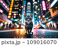 夜の大都会を歩く猫：AI生成画像 109016070