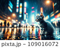 夜の街で雨に濡れて震える迷子の子猫　：AI生成画像 109016072