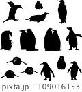 penguin, bird, chick, portrait, image, fauna, various poses, wildlife, white, black, vector, graphics, drawing, picture, stylization, image, isolated, illustration 109016153