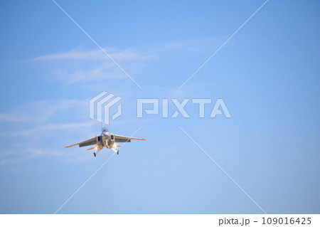 [岐阜県]航空自衛隊岐阜基地の戦闘機 109016425