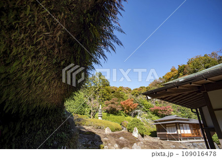 鎌倉11月 海蔵寺5 鎌倉11月 海蔵寺5 109016478