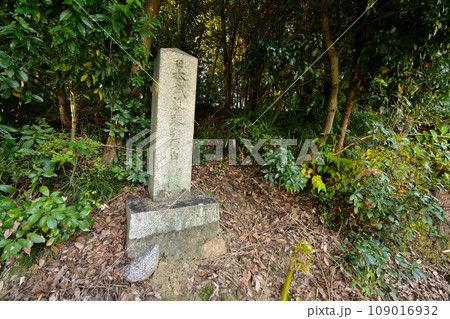 日本武尊 白鳥陵 石碑(奈良県御所市) 日本武尊 白鳥陵 石碑(奈良県御所市) 109016932