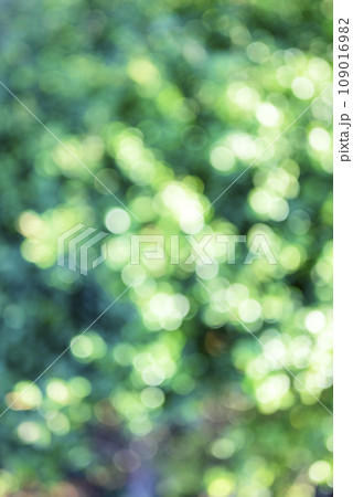 玉ボケ グリーン系 背景素材 冬素材 玉ボケ グリーン系 背景素材 冬素材 109016982