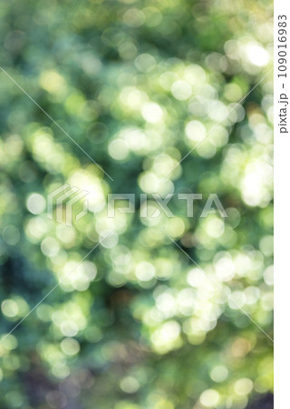 玉ボケ グリーン系 背景素材 冬素材 玉ボケ グリーン系 背景素材 冬素材 109016983